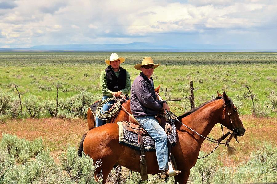 Oregon Cowboys Photograph by Michele Penner