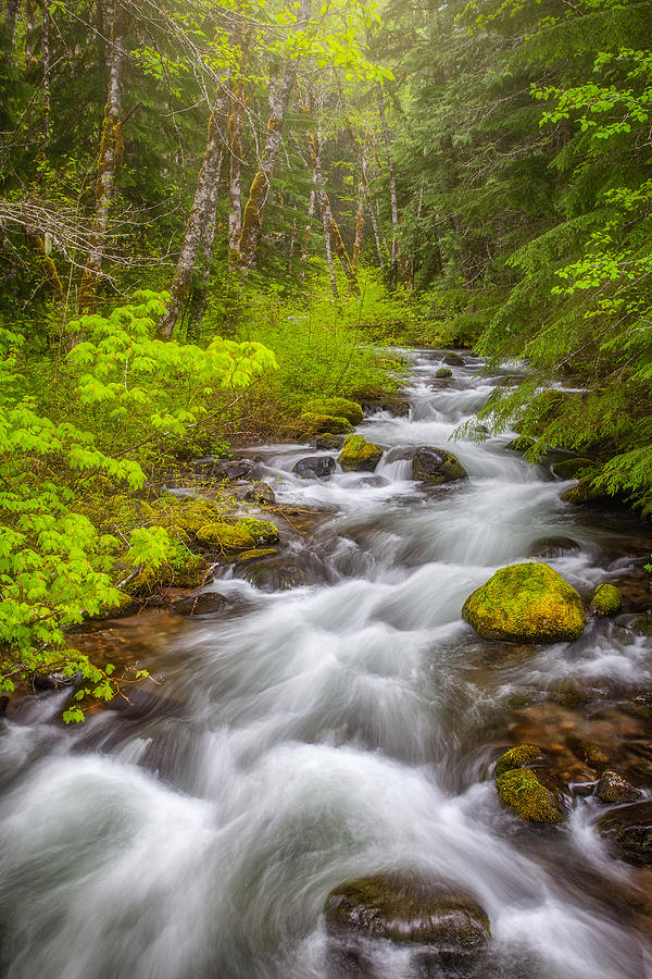 Spring Photograph - Oregon Creek by Darren White