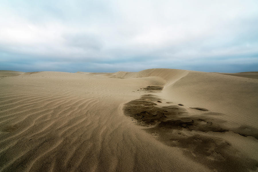 Beach Photograph - Oregon Dune Wasteland 1 by Ryan Manuel