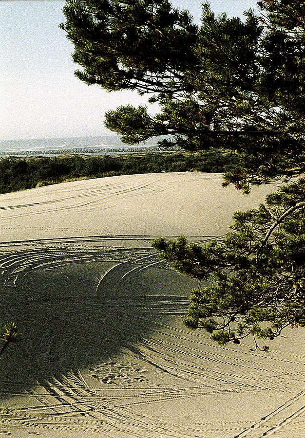 Inspirational Photograph - Oregon Dunes 3 by Eike Kistenmacher