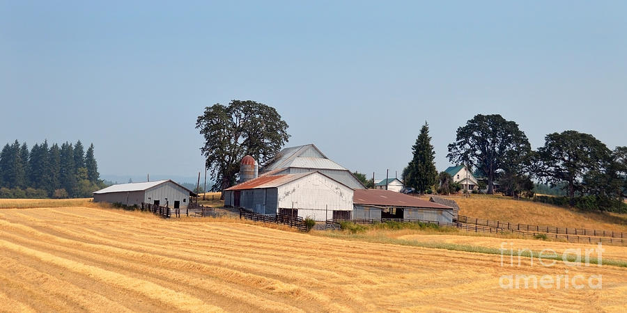 Oregon Farm Photograph