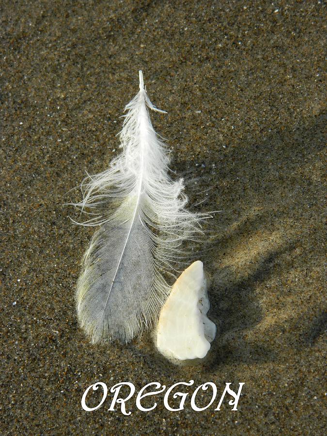 Oregon Feather Photograph by Gallery Of Hope - Pixels