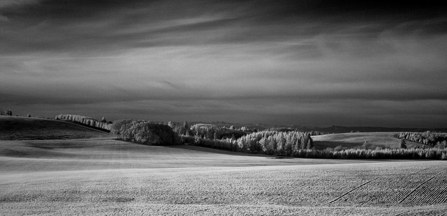 Oregon Field in Infrared Photograph by Lee Santa
