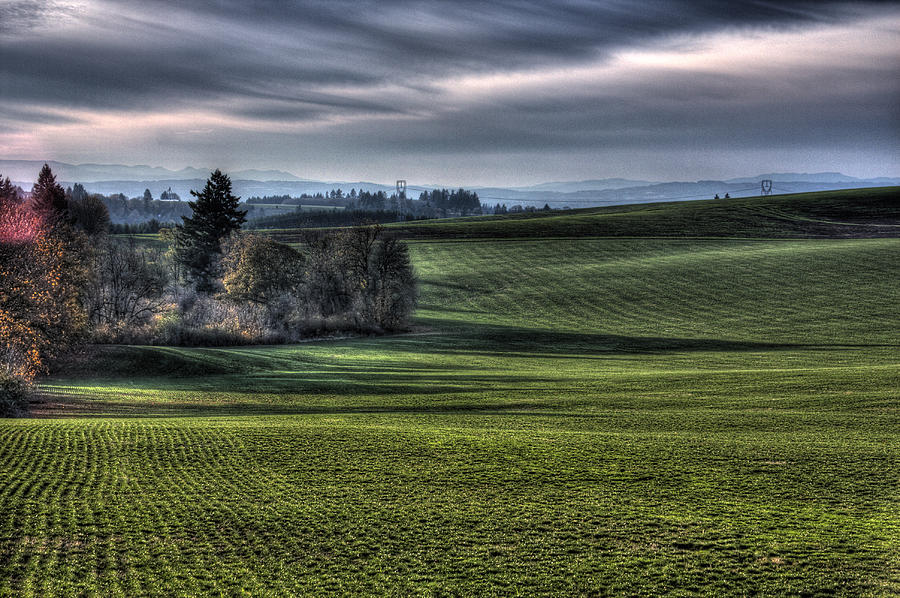 Oregon Field Photograph by Lee Santa