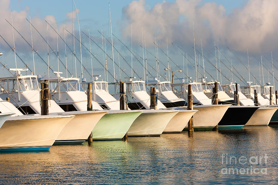 Oregon Inlet Fishing Center Fleet I Photograph by Clarence Holmes