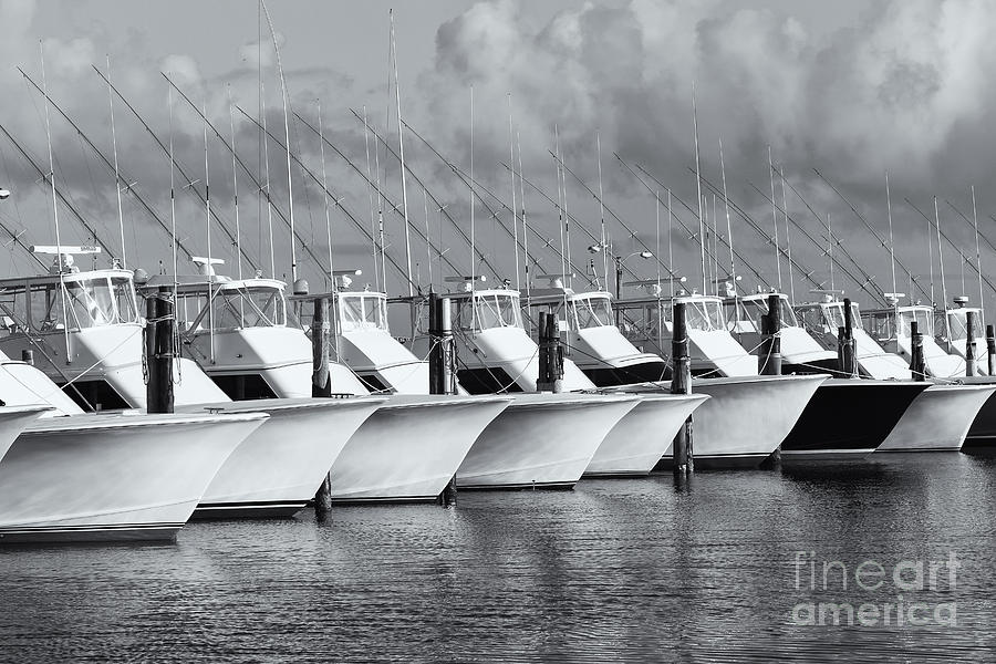 Oregon Inlet Fishing Center Fleet II Photograph by Clarence Holmes