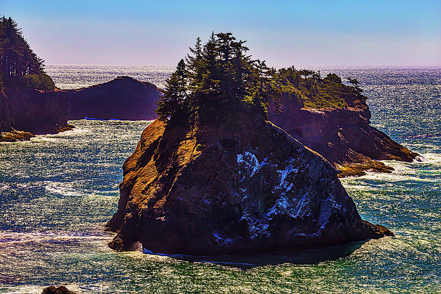 Oregon Island Photograph by Garry Gay