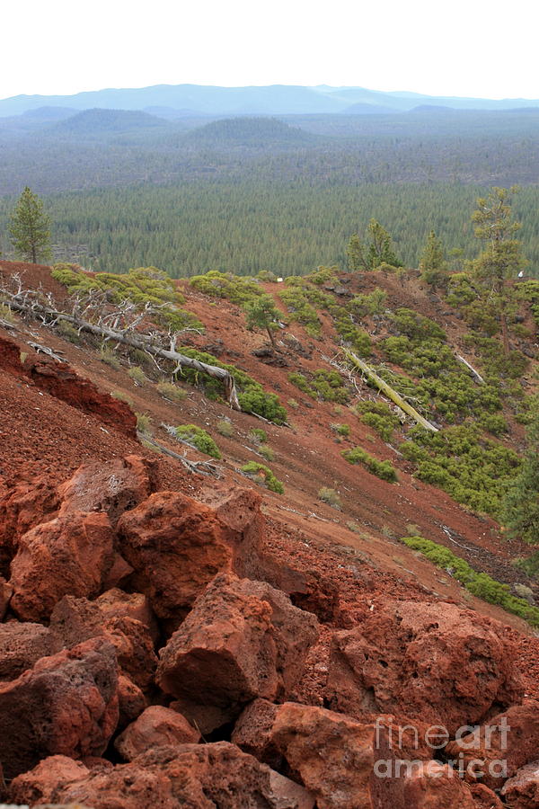 Oregon Landscape - Red Rocks at Lava Butte Photograph by Carol Groenen