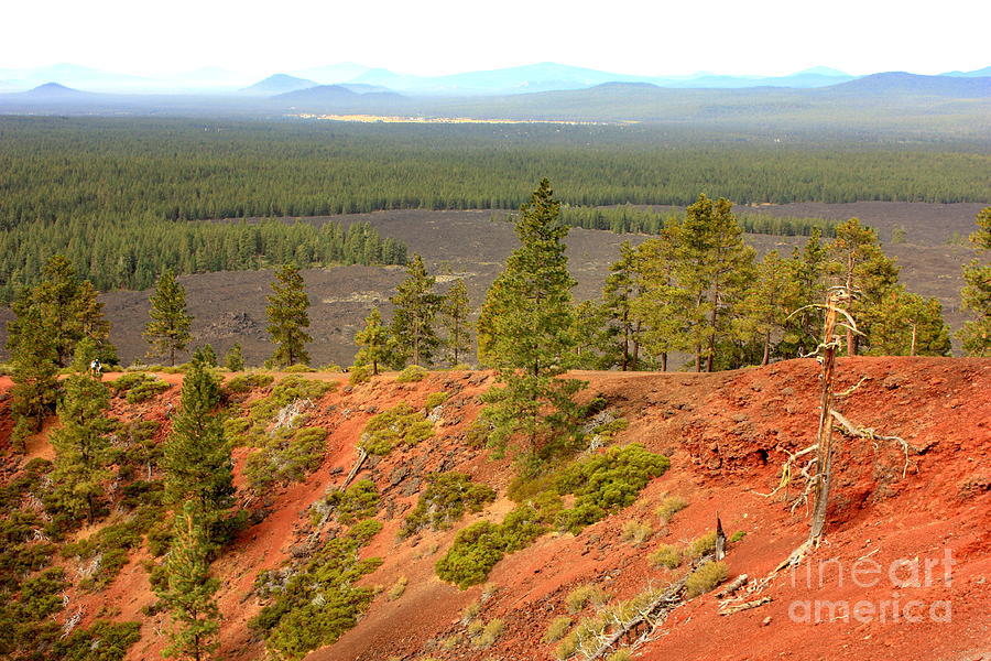 Oregon Landscape - View from Lava Butte #1 Photograph by Carol Groenen