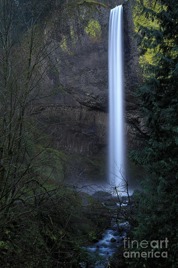 Oregon Latourell Falls Photograph by Adam Jewell