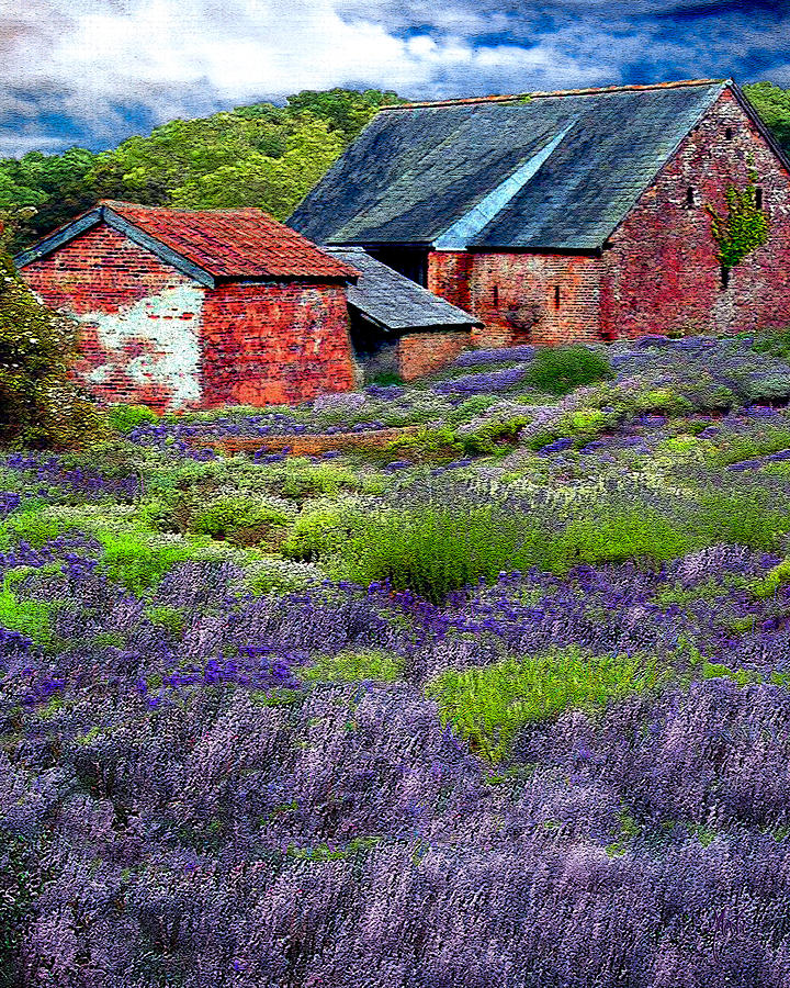 Oregon Lavender Farm Mixed Media by Michele Avanti