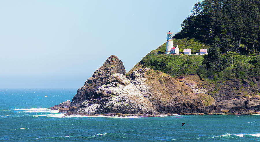 Oregon Lighthouse Photograph by Jonny D