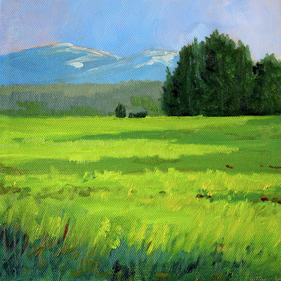 Mountain Painting - Oregon Meadow by Nancy Merkle