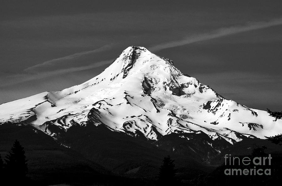 Oregon - Mt. Hood Monochrome Photograph by Terry Elniski