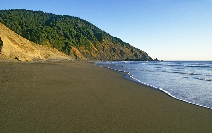 Oregon Pacific Coast near Gold Beach Photograph by Buddy Mays