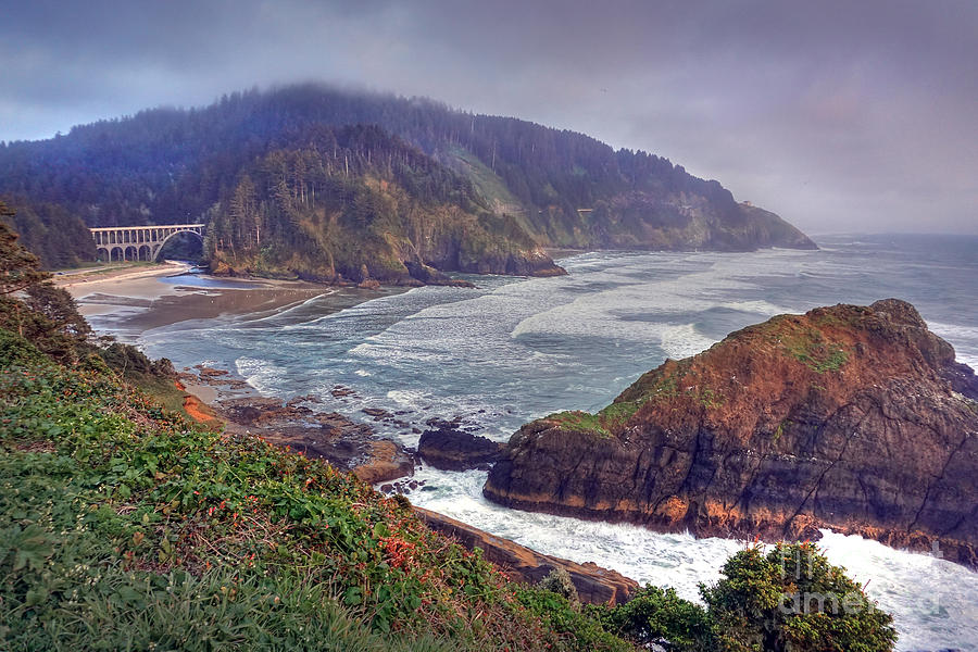 Oregon Pacific Coastline Photograph by Martin Konopacki