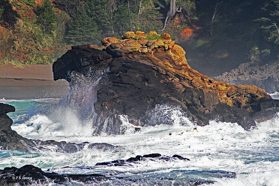 Oregon Pacific Ocean Coast Digital Art by Tom Janca