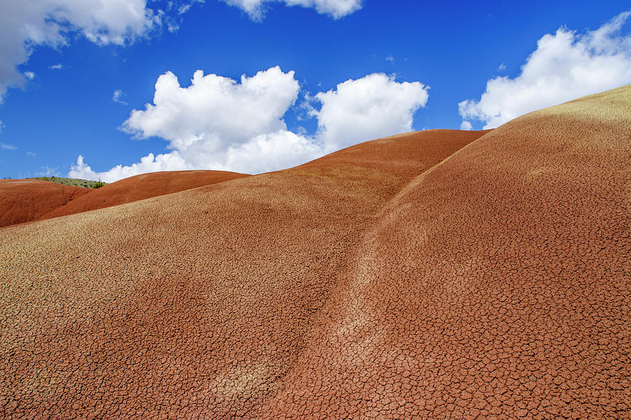 Oregon Painted Hills Textured Layers Photograph by John Trax