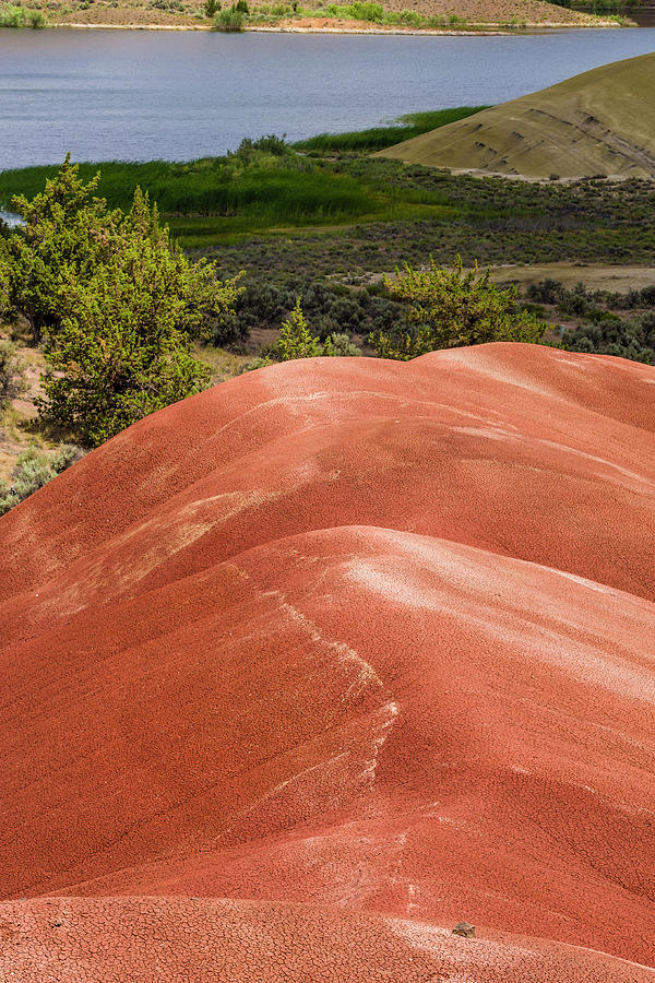 Oregon Painted Hills with Painted Hills Reservoir Vertical Photograph by John Trax