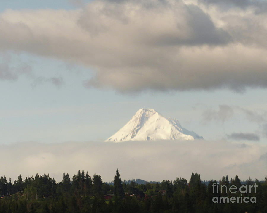 Oregon Peak in Distance Photograph by Paula Joy Welter