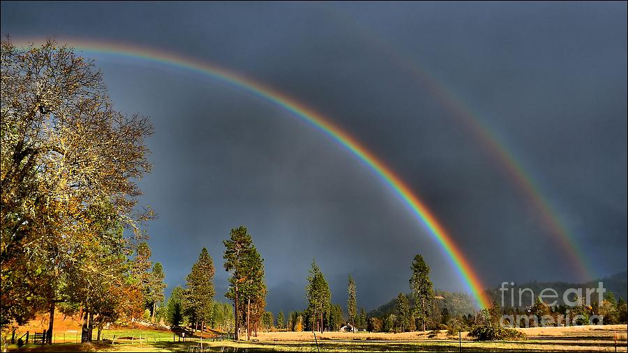 Oregon Rain In HDR Photograph by Julia Hassett