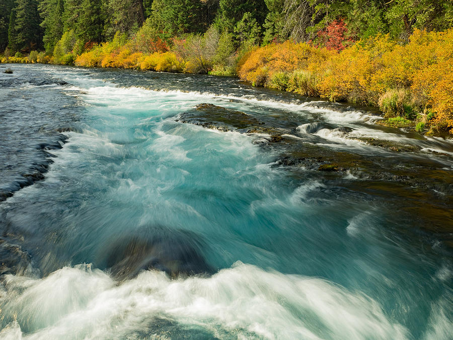 Fall Photograph - Oregon River Autumn by Dan Leffel