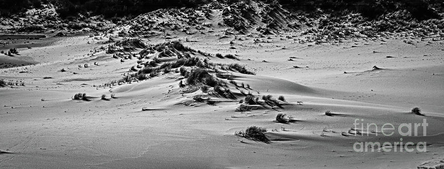 Oregon Sand Dunes National Recreation Area Photograph by Jon Burch Photography