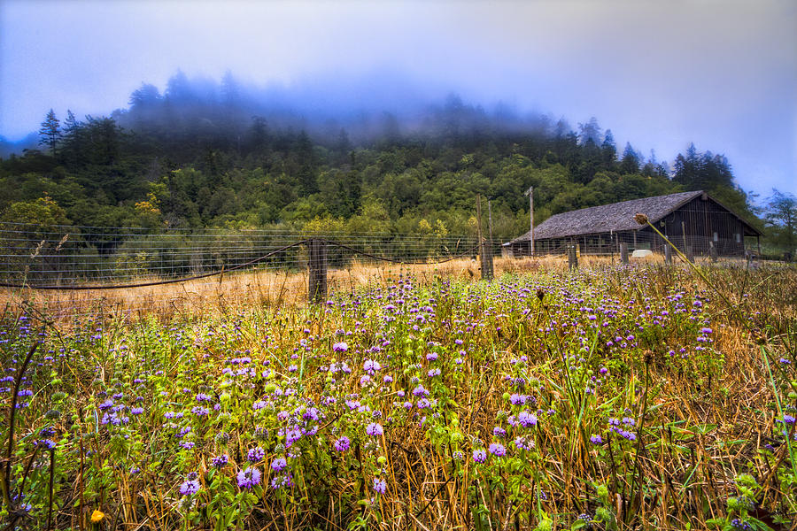 Oregon Scenery Photograph by Debra and Dave Vanderlaan