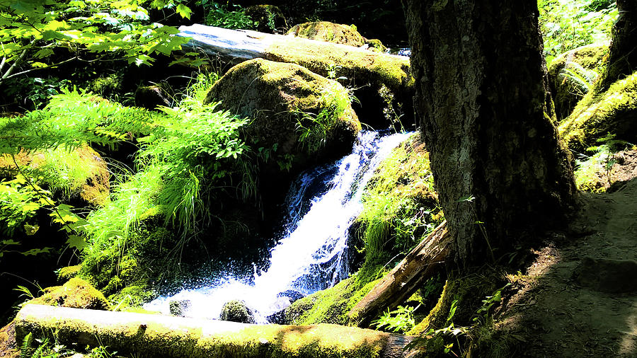 Oregon Spring by Pacific Northwest Imagery Oregon Spring by Pacific Northwest Imagery