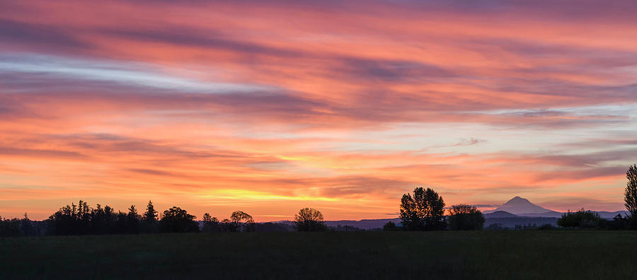 Oregon Sunrise Photograph by Steven Clark