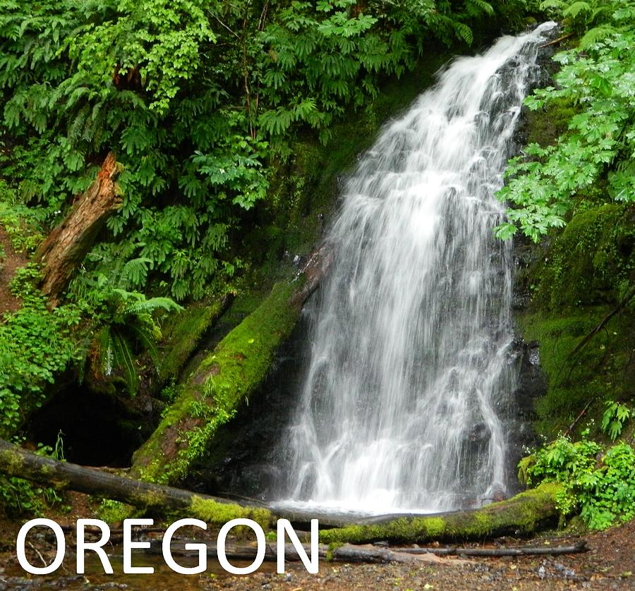 Oregon Waterfall Photograph by Gallery Of Hope 