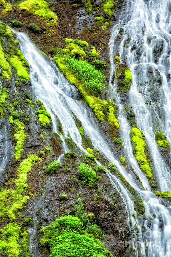 Oregon Waterfalls Photograph by Timothy Hacker
