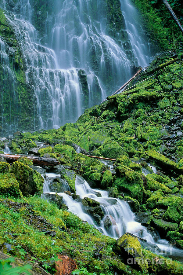 Waterfall Photograph - Oregon, Willamette Valley by Michael Howell - Printscapes