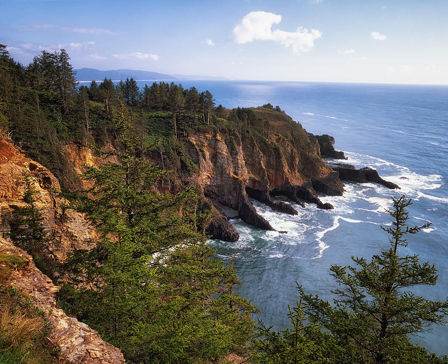 Oregon's Cape Falcon In Oswald West State Park. Photograph by Larry Geddis