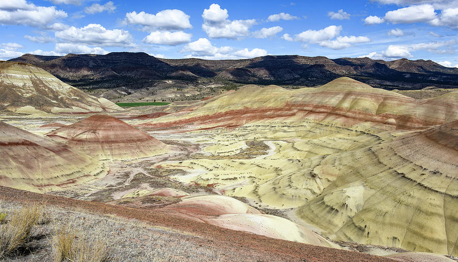 Oregon's Painted Hills Photograph by Joy McAdams - Fine Art America