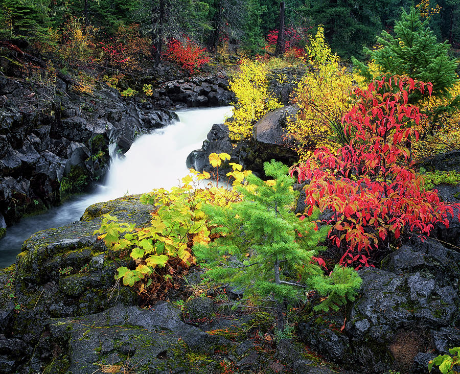 Oregon's Upper Rogue River rushes through a series of lava tubes ...