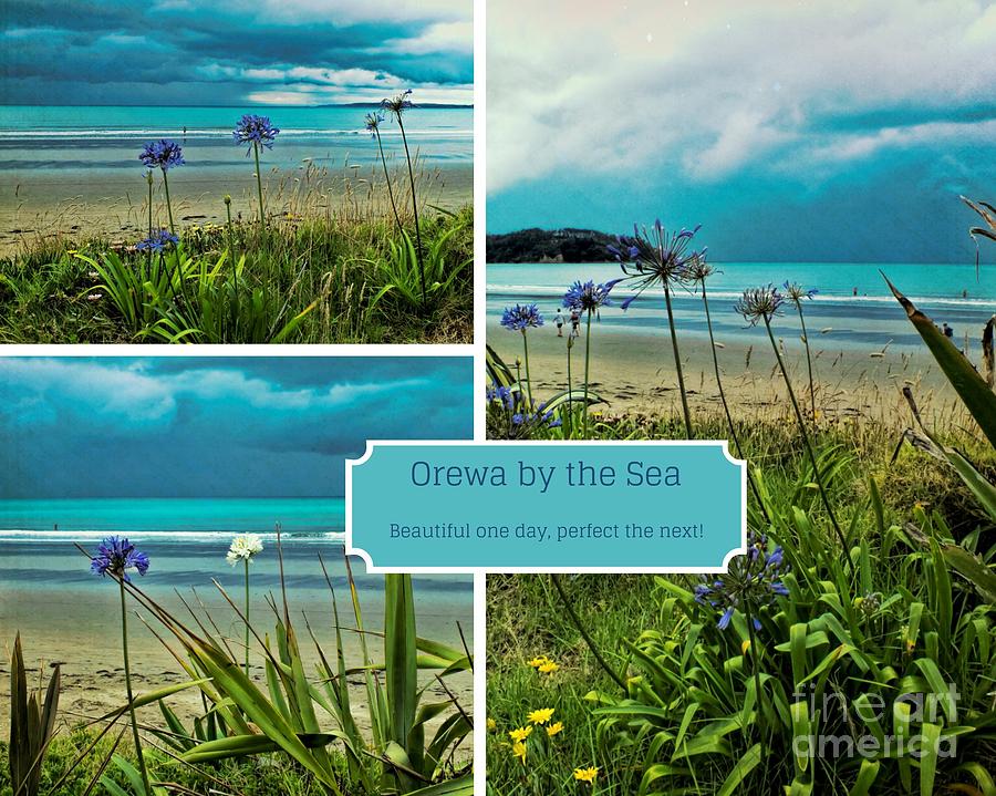 Orewa by the Sea Photograph by Karen Lewis