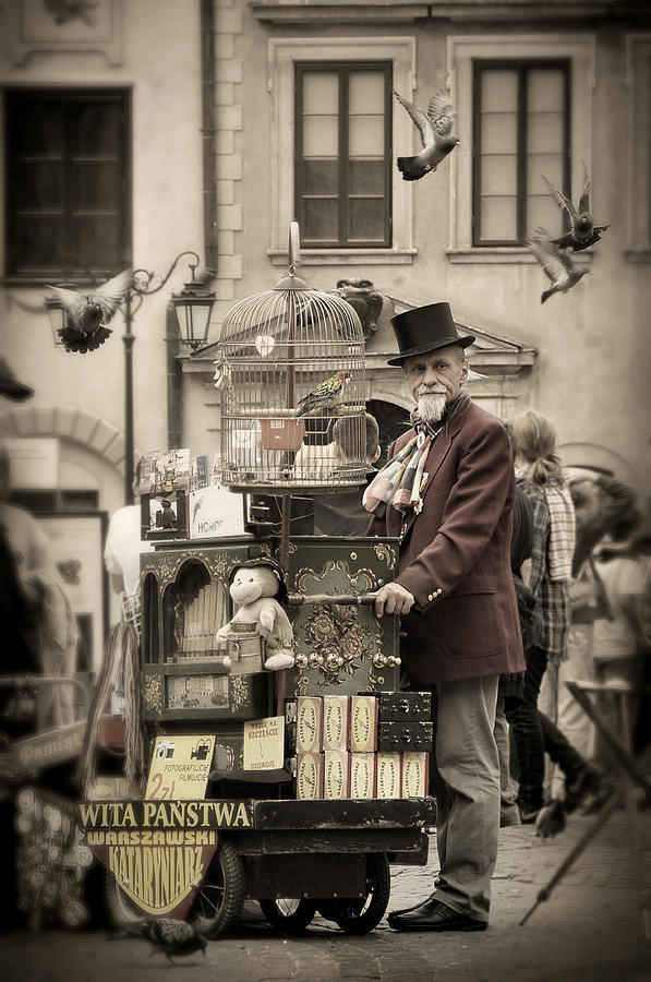 Parrot Photograph - Organ grinder by Viktor Korostynski