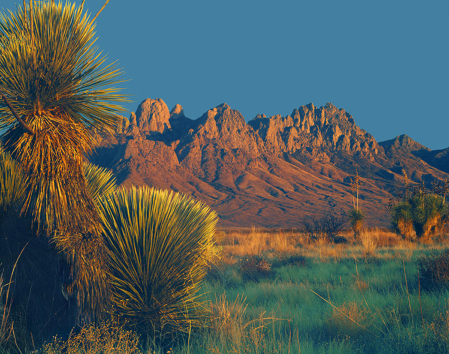 214801-Organ Mountains at Sunset  Photograph by Ed  Cooper Photography