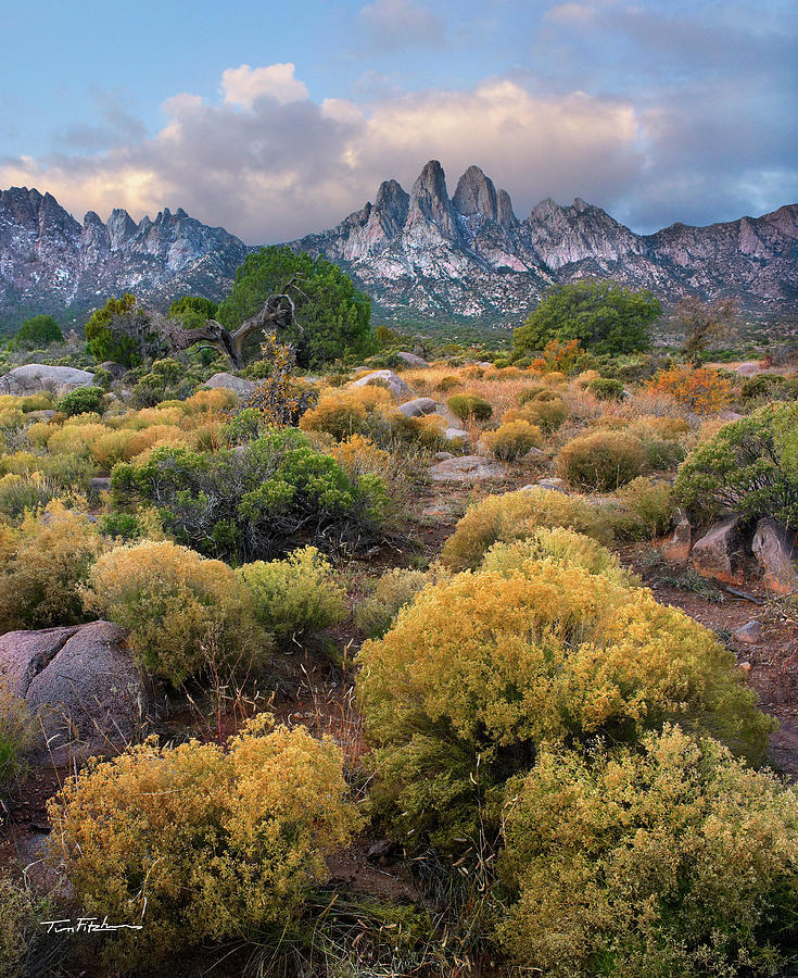 Fall Photograph - Organ Mountains-Desert Peaks National Monument, New Mexico.   by Tim Fitzharris