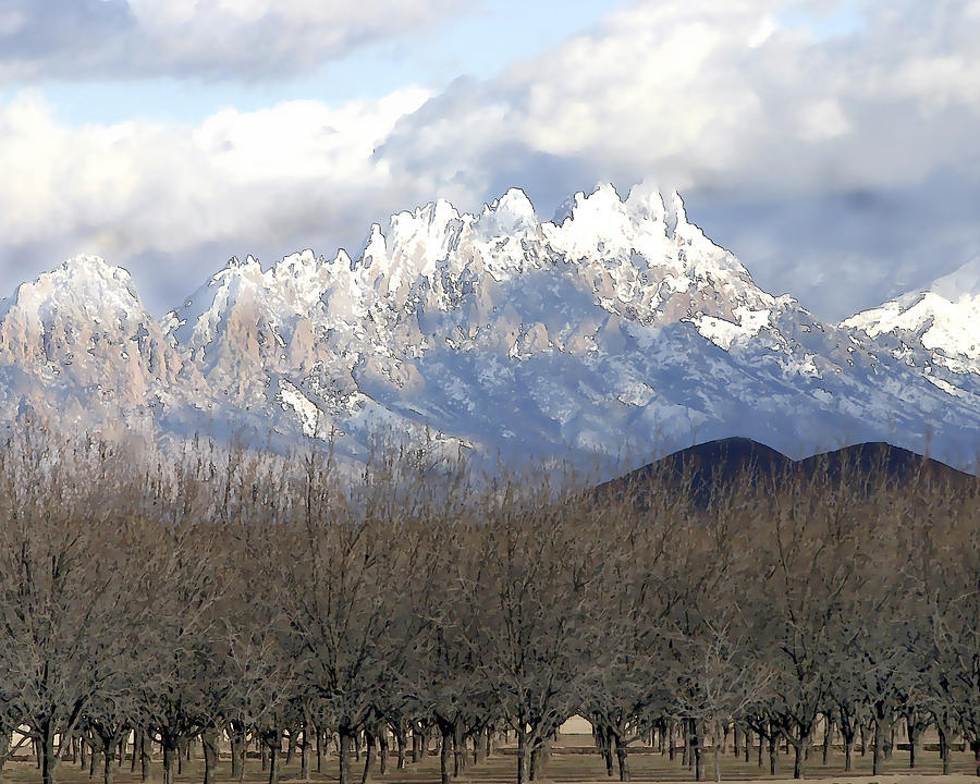 Mountain Photograph - Organ Mountains in Snow by Elaine Frink