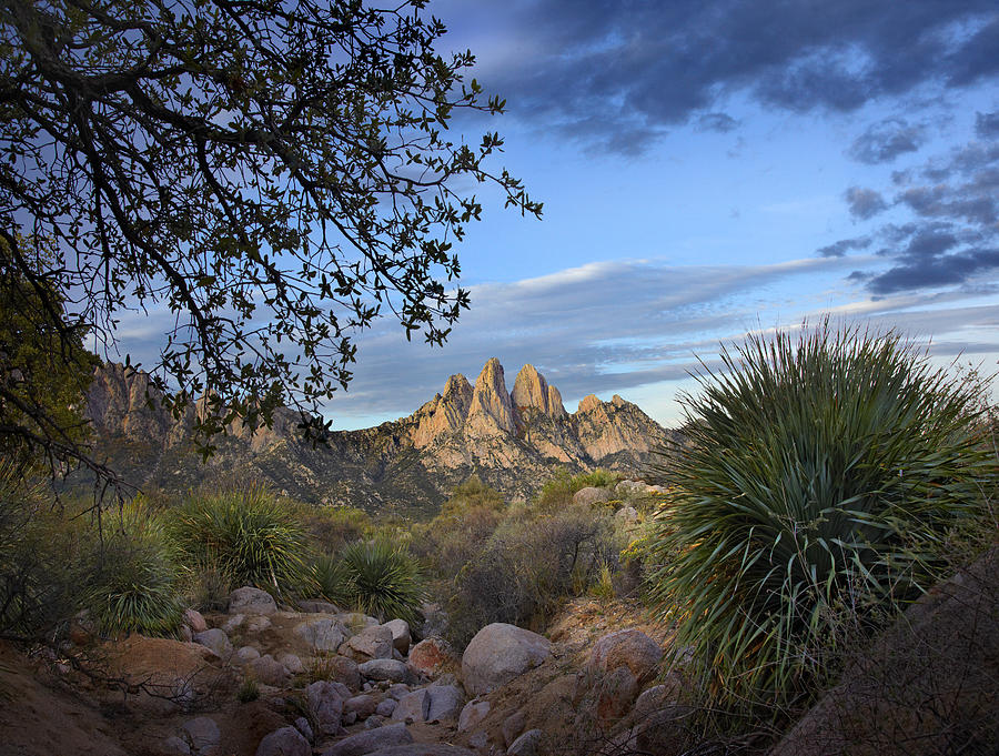 Organ Mountains Near Las Cruces New Photograph by Tim Fitzharris