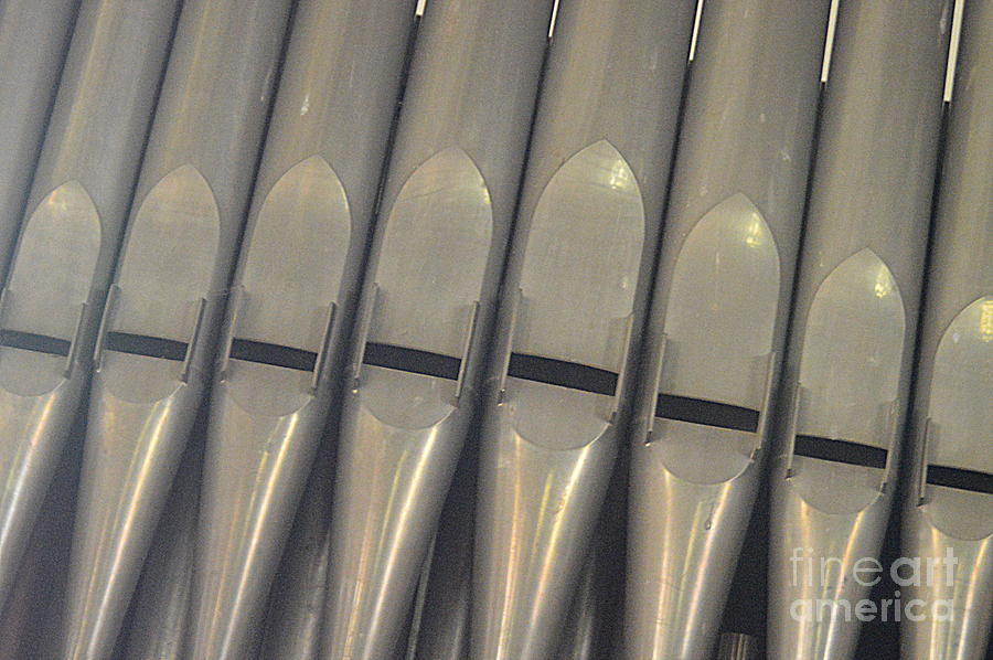 Organ Pipes Photograph by Andy Thompson