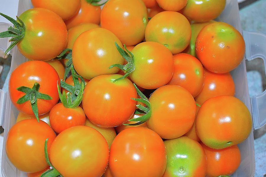 Organic Cherry Tomatoes Photograph by Maria Jansson