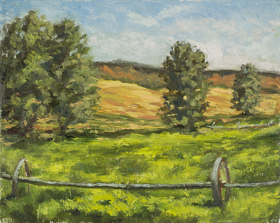 Organic fields by Julie Rumsey Organic fields by Julie Rumsey