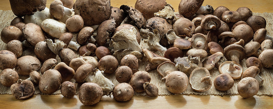 Organic Fresh Mushrooms Photograph