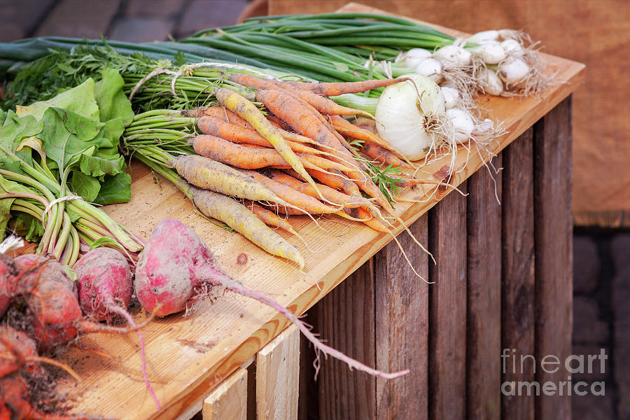 Organic root vegetables Photograph by Sophie McAulay