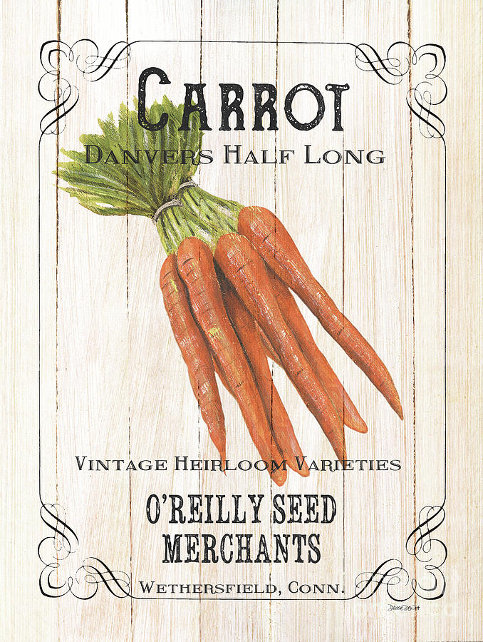 Carrot Painting - Organic Seed Packet 2 by Debbie DeWitt