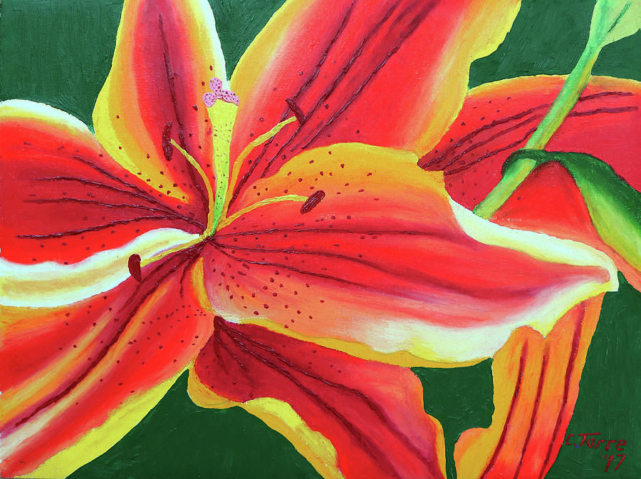 Oriental-Asiatic Lily Painting by Chris Torre | Fine Art America