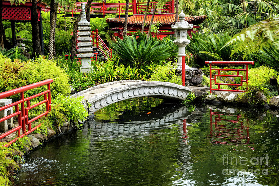 Oriental Bridge in a Tropical Garden Photograph by Brenda Kean